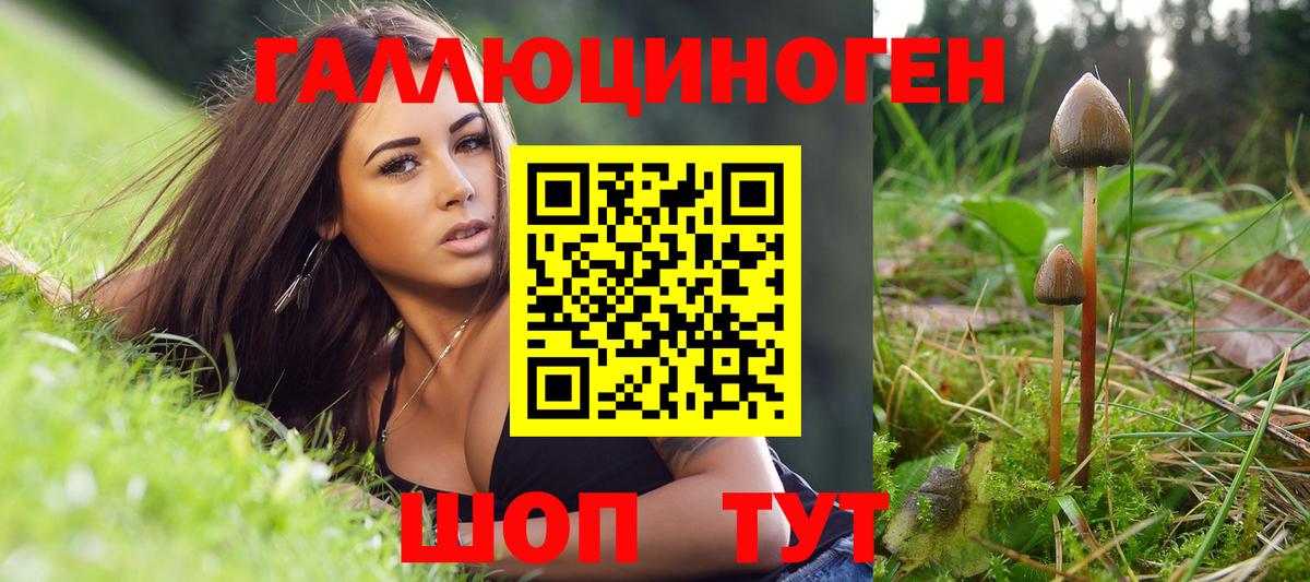 Галлюциногенные грибы MAGIC MUSHROOMS Канаш