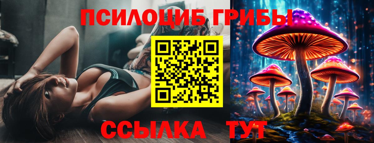 Галлюциногенные грибы Cubensis  Вход с VPN  Канаш  Псилоцибиновые грибы Magic Shrooms 